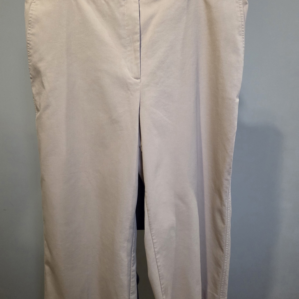 Ann Taylor Tan Pants - Picture 4 of 6